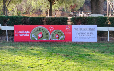 Droguería INTI S.A. presente en el Campeonato FEI en Adiestramiento en el Country Club Cochabamba